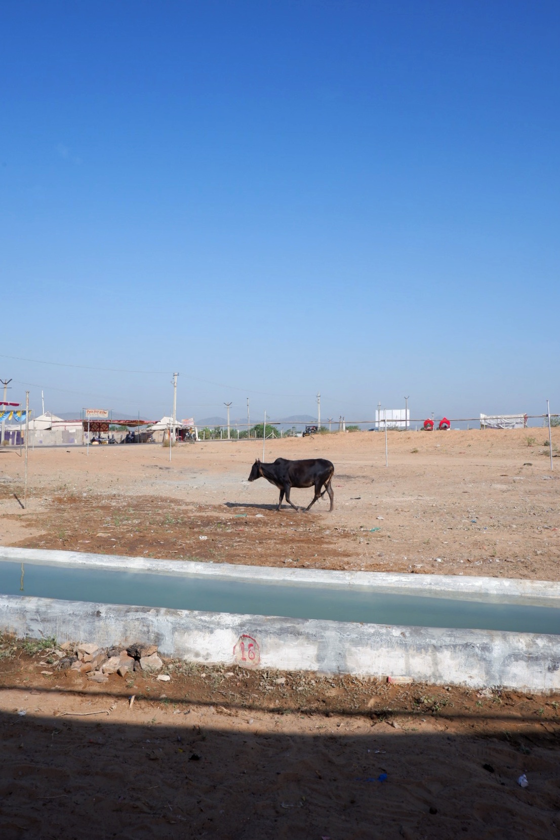 Life in Pushkar photograph 13